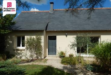 Achetez ancien petit occasion, annonce vente à Loches (37) WB171781552