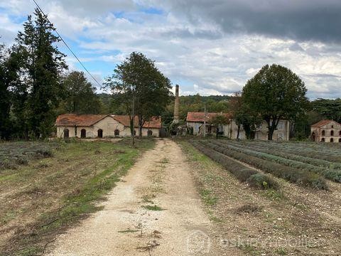 Maison - 700 m² environ - 12 pièce(s)