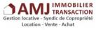 AMJ IMMOBILIER